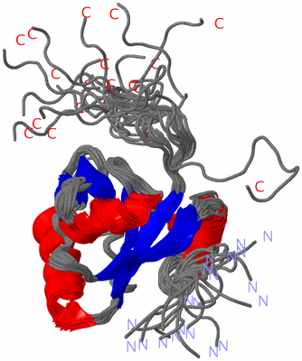 Image NMR Structure - all models