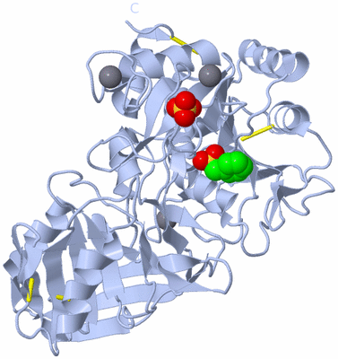 Image Biological Unit 1