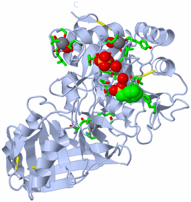 Image Biol. Unit 1 - sites