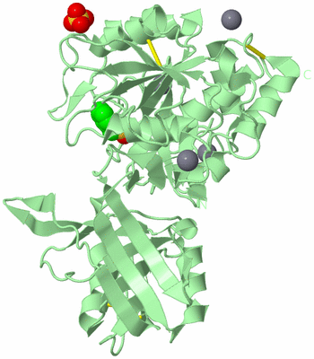 Image Biological Unit 2