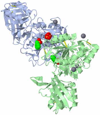 Image Biological Unit 3