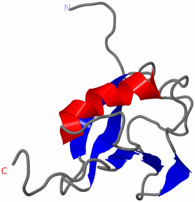 Image NMR Structure - model 1