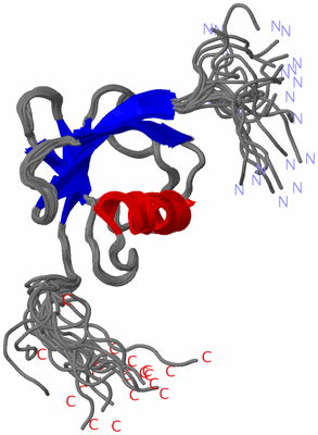 Image NMR Structure - all models