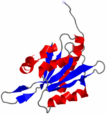 Image NMR Structure - model 1