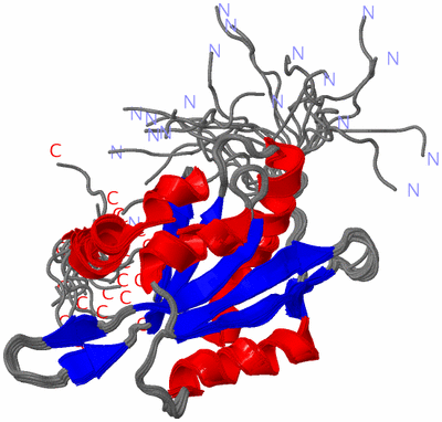 Image NMR Structure - all models