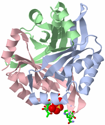 Image Asym./Biol. Unit - sites