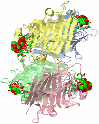 Image Asym./Biol. Unit - sites