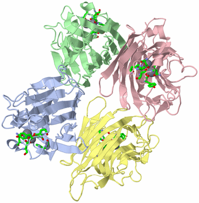 Image Biol. Unit 1 - sites