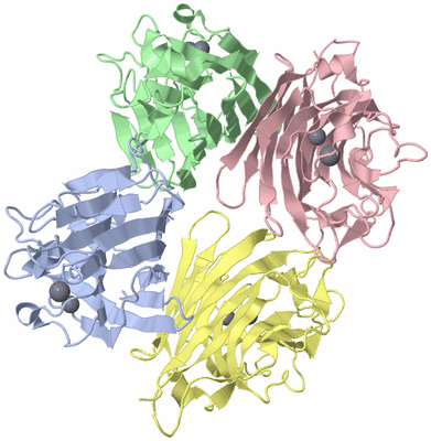 Image Biological Unit 1