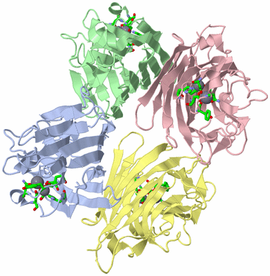 Image Biol. Unit 1 - sites