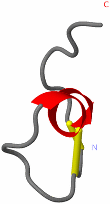 Image NMR Structure - model 1