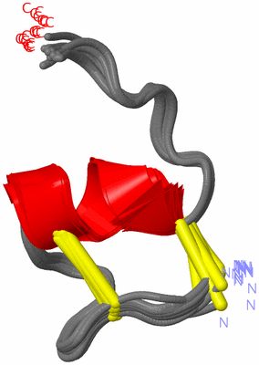 Image NMR Structure - all models