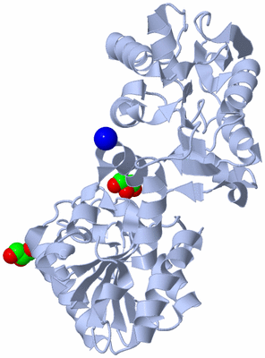 Image Biological Unit 1