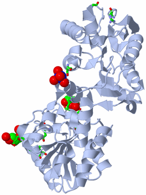 Image Biol. Unit 1 - sites