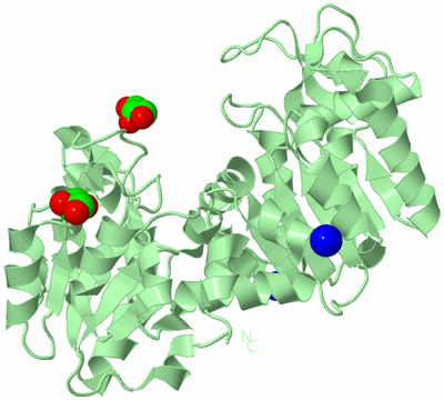 Image Biological Unit 2