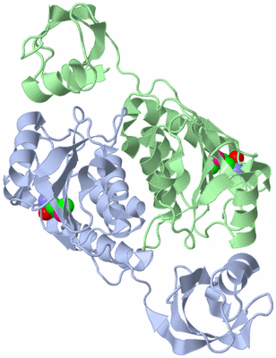 Image Asym./Biol. Unit