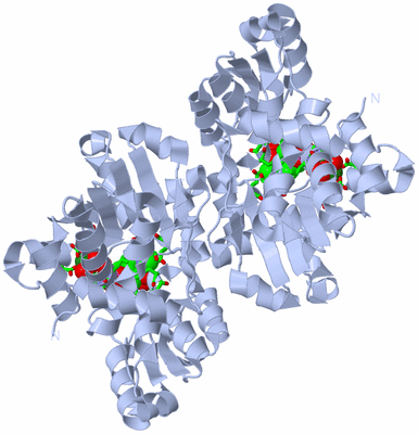 Image Biol. Unit 1 - sites