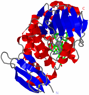 Image Asym./Biol. Unit - sites