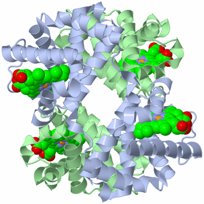 Image Biological Unit 1