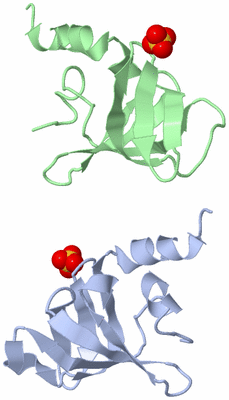 Image Asymmetric Unit