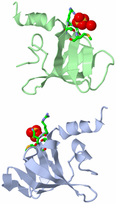 Image Asym. Unit - sites