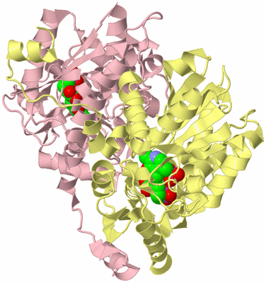 Image Biological Unit 2