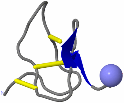 Image NMR Structure - model 1