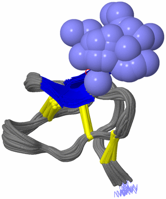 Image NMR Structure - all models