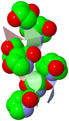 Image Asymmetric Unit