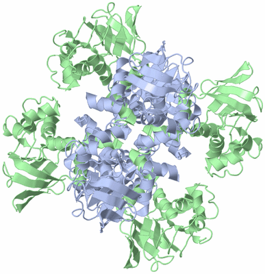 Image Biological Unit 2