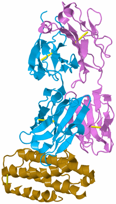 Image Biological Unit 3