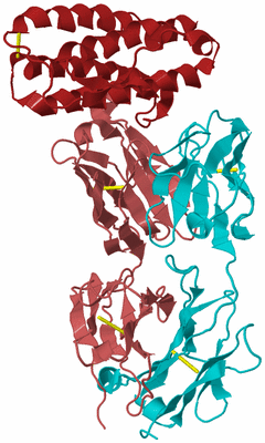 Image Biological Unit 4