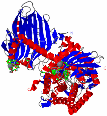 Image Asym. Unit - sites