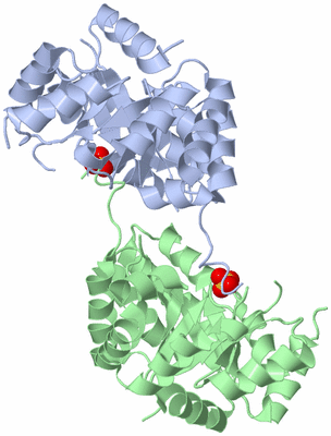 Image Biological Unit 3