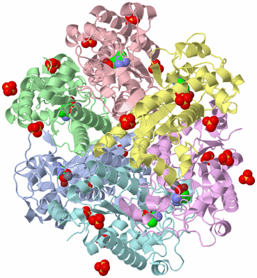 Image Asym./Biol. Unit