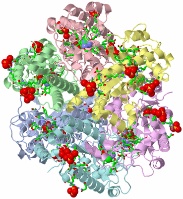 Image Asym./Biol. Unit - sites