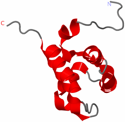 Image NMR Structure - model 1