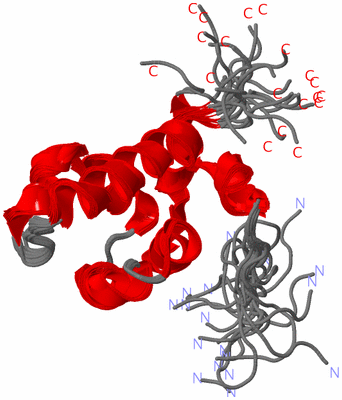 Image NMR Structure - all models