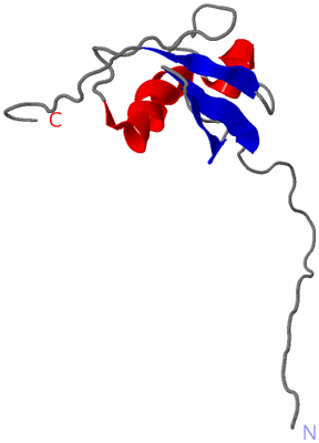 Image NMR Structure - model 1