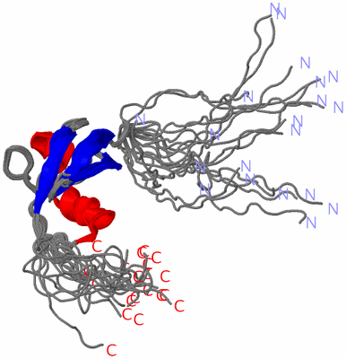 Image NMR Structure - all models