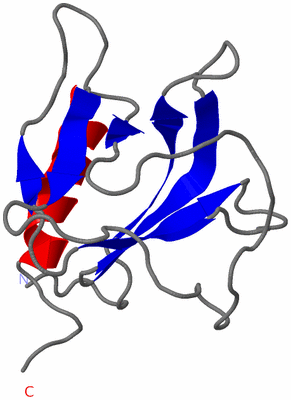 Image NMR Structure - model 1