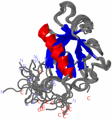 Image NMR Structure - all models