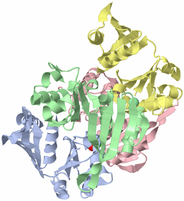 Image Biological Unit 3