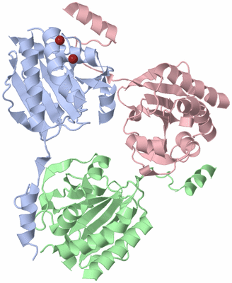 Image Biological Unit 1