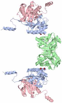 Image Biological Unit 3