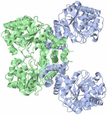 Image Biological Unit 2