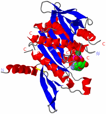 Image Asym./Biol. Unit