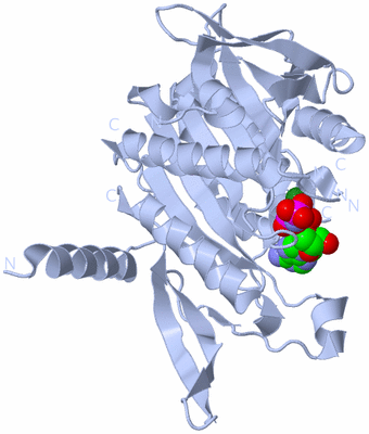 Image Biological Unit 1