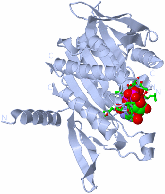 Image Biol. Unit 1 - sites