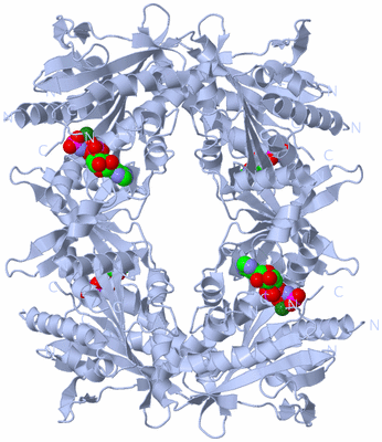 Image Biological Unit 2